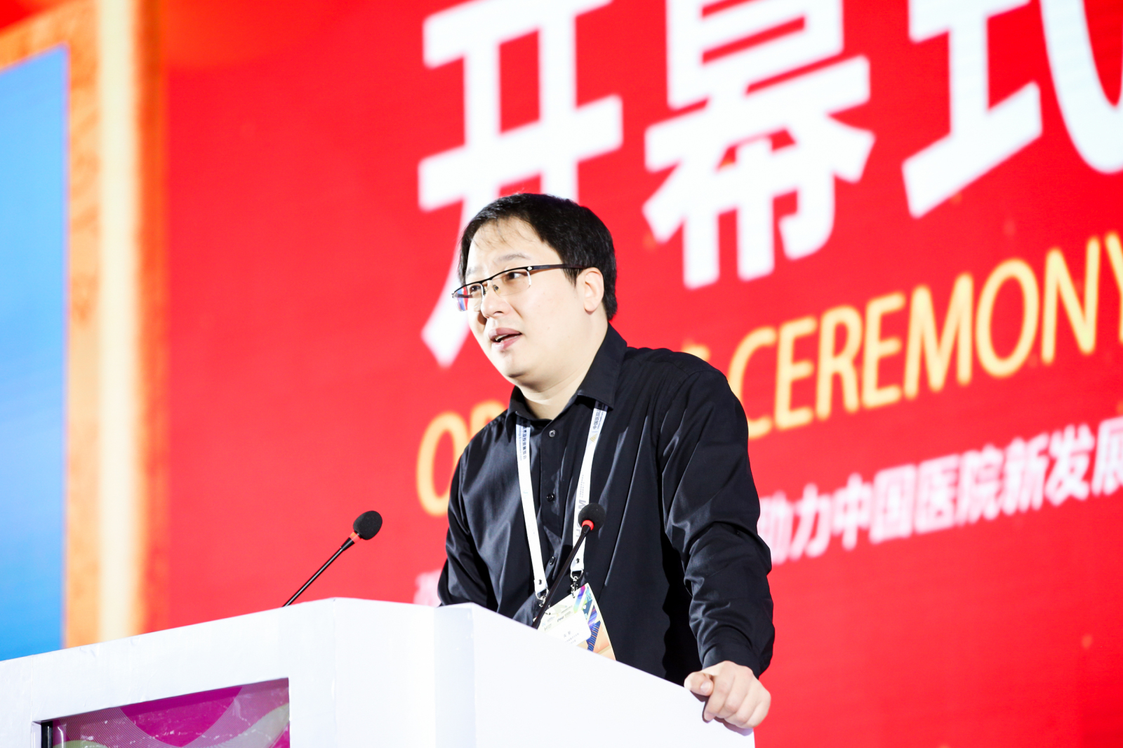 嘉宾致辞:中国信息学会医疗卫生和健康产业分会会长 宋新